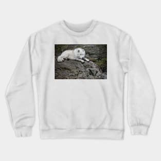 Arctic Wolf Crewneck Sweatshirt